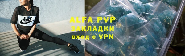 a pvp Ладушкин