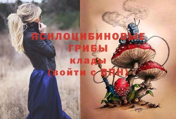 a pvp Ладушкин