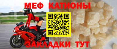 прущие грибы Заводоуковск