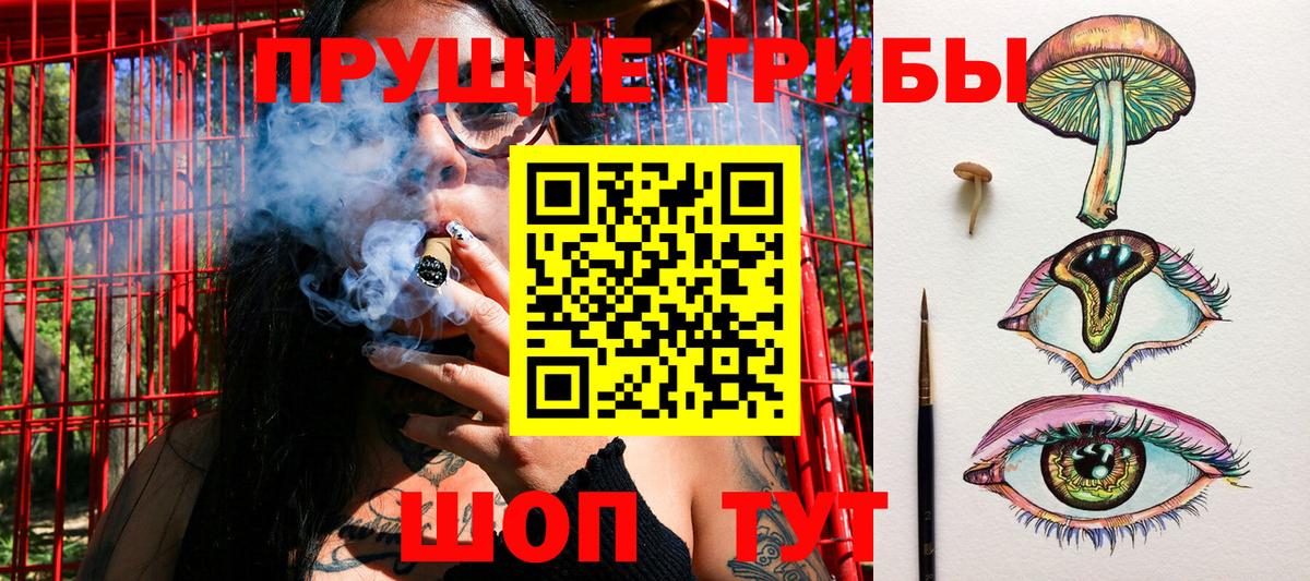 Псилоцибиновые грибы Psilocybe Нижневартовск